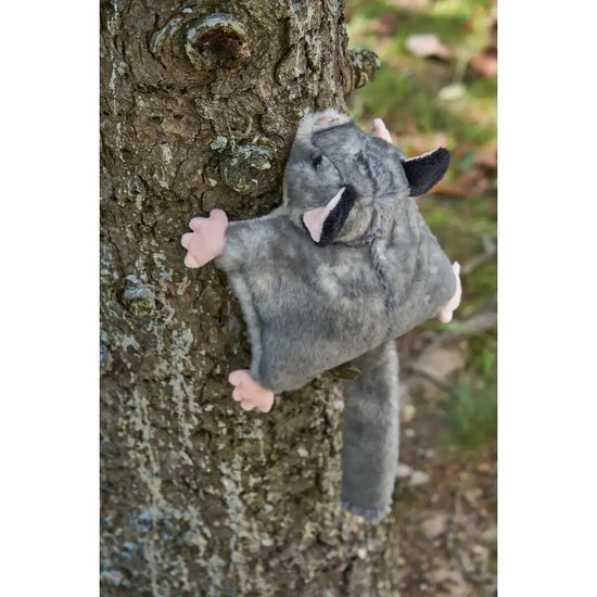 toy - animal plush - wild onez - sugar glider by the petting zoo