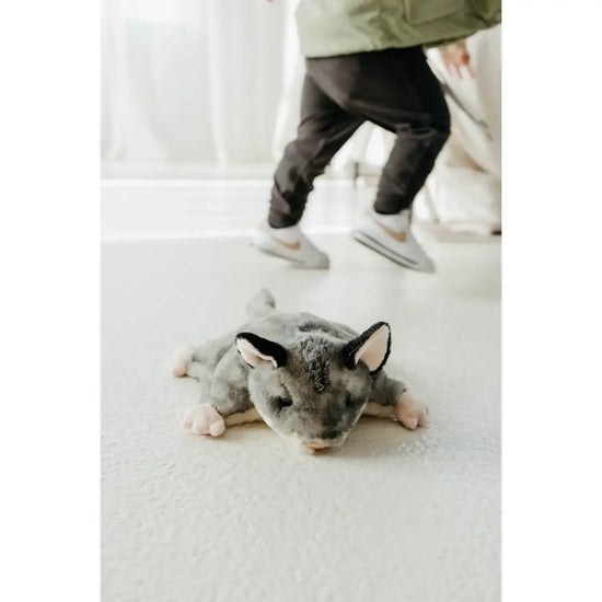 toy - animal plush - wild onez - sugar glider by the petting zoo