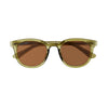 Sunglasses | Gram | Crystal Olive Green / Brown Polarized