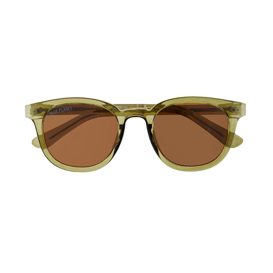 Sunglasses | Gram | Crystal Olive Green / Brown Polarized