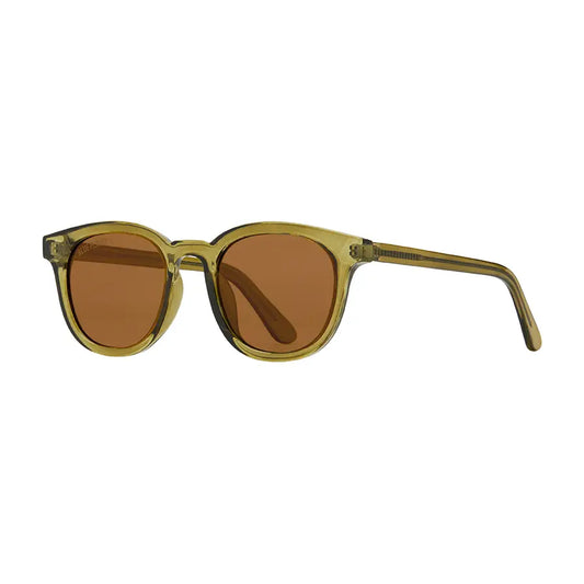 Sunglasses | Gram | Crystal Olive Green / Brown Polarized