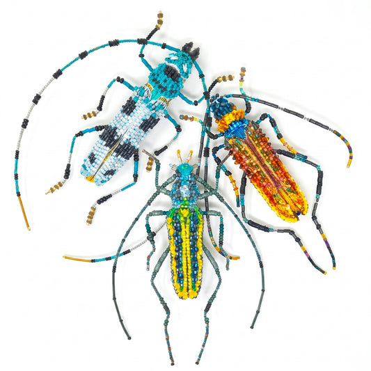 Brooch Pin | Large Beetle | 3 Kinds