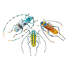 Brooch Pin | Large Beetle