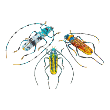 Brooch Pin | Large Beetle