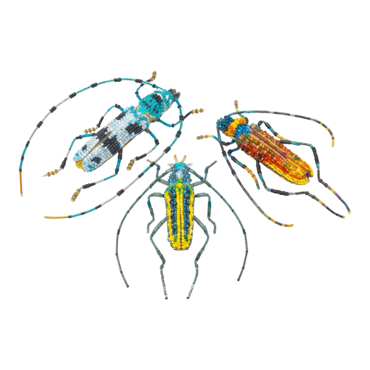 Brooch Pin | Large Beetle | 3 Kinds