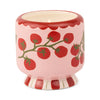 candle - "a dopo" ceramic - tomato vine by paddywax