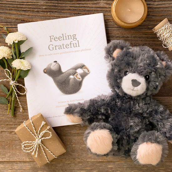 toy - bear plush ("feeling grateful" book companion) by compendium