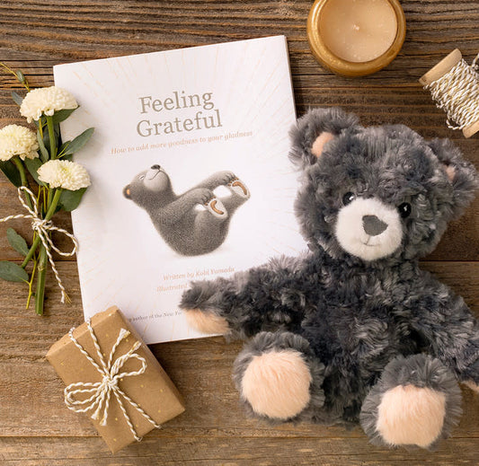 toy - bear plush ("feeling grateful" book companion) by compendium