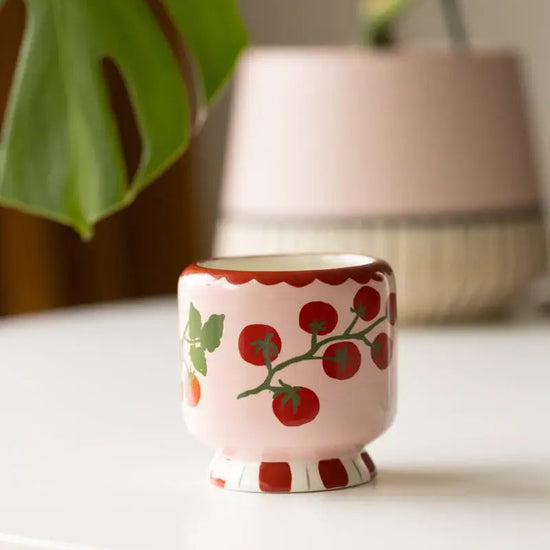 candle - "a dopo" ceramic - tomato vine by paddywax