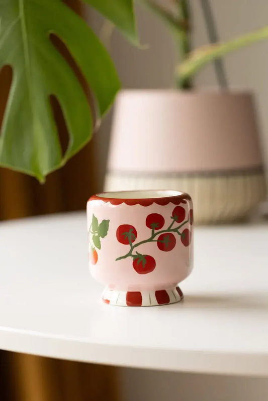 candle - "a dopo" ceramic - tomato vine by paddywax