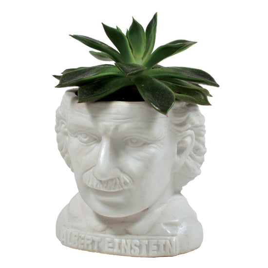 ceramic planter pot - bust figure by unemployed philosophers guild