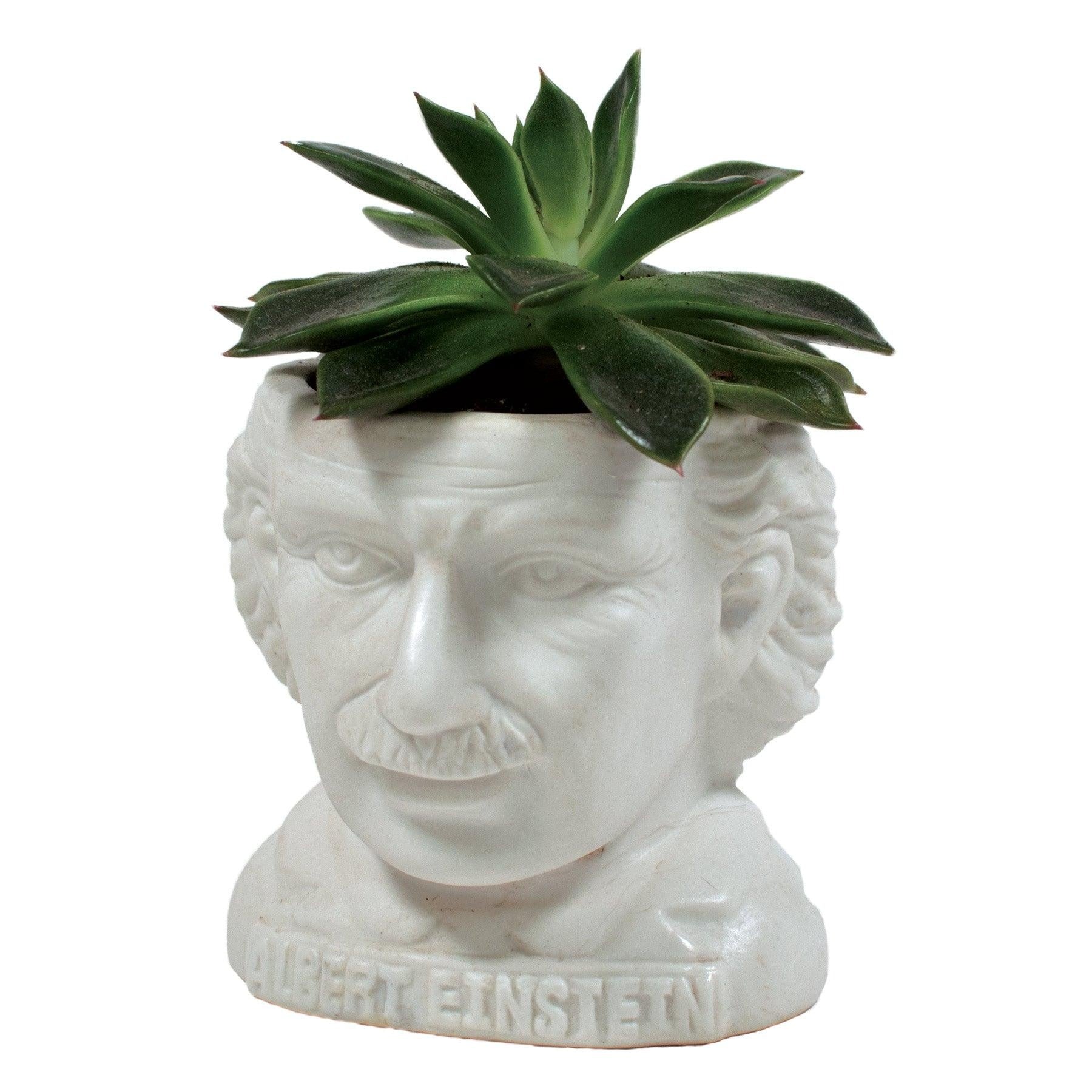 ceramic planter pot - bust figure by unemployed philosophers guild