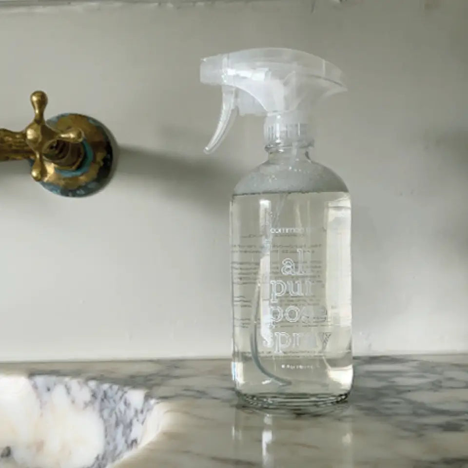 glass spray bottle - all purpose - 16oz by common good