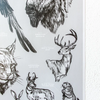 Art Print | Oklahoma Wildlife Chart | 19" x 27"