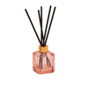 Diffuser | Botanica
