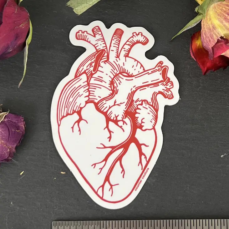 sticker - anatomical heart by counter couture