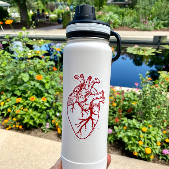 sticker - anatomical heart by counter couture