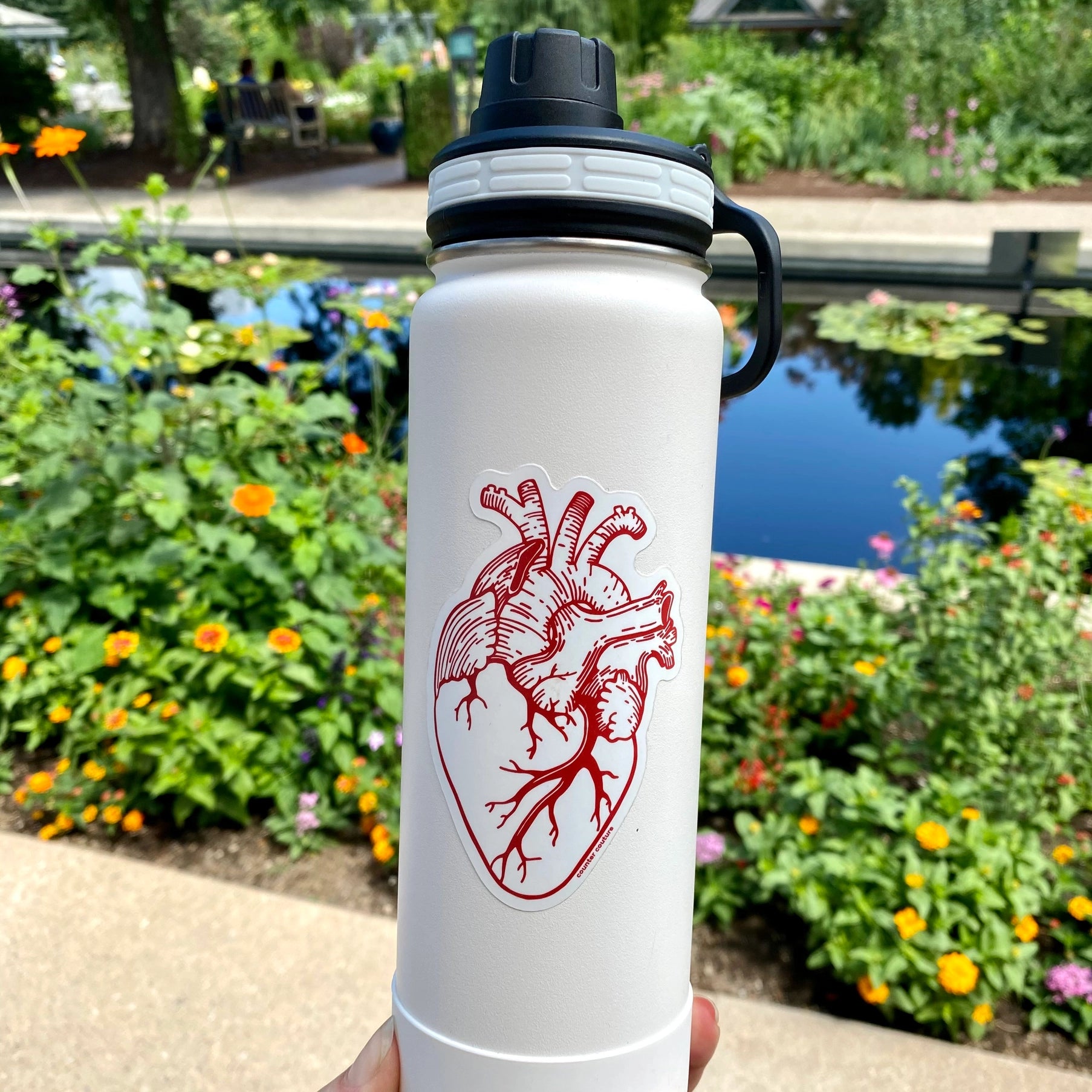 sticker - anatomical heart by counter couture