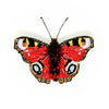brooch pin - butterfly - anglais peacock by trovelore