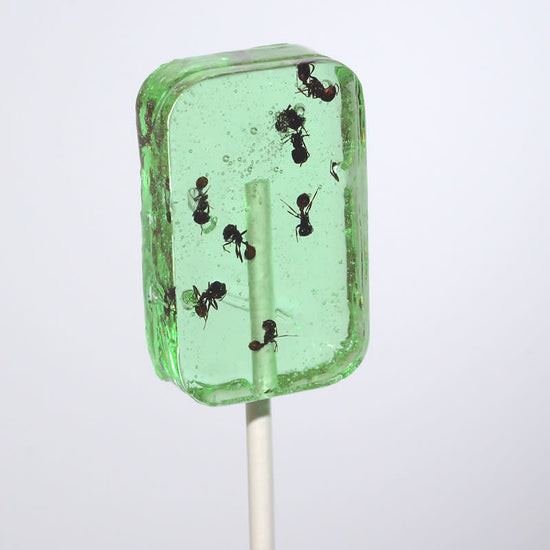 candy - hotlix pops - ant-lix by redstone foods inc