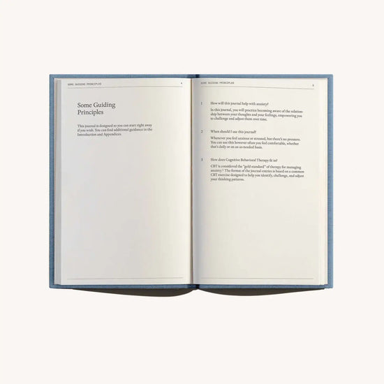 book - anti-anxiety notebook by therapy notebooks