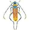 brooch pin - large beetle by trovelore