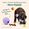 Dog Toy | Flyball 2-in-1 | 3-Pack