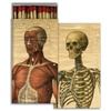 Matches | Boxed