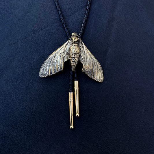 Bolo Tie | Moth | Brass + Black Cord 36"