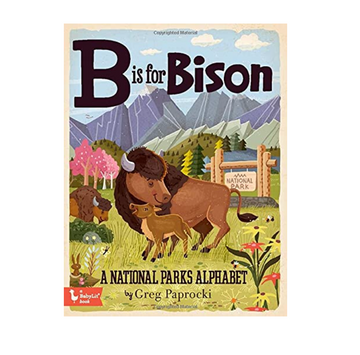 boad book - babylit alphabet - b is for bison by gibbs smith