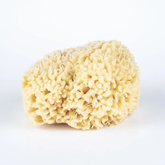 bath sponge - sea wool - large by baudelaire