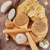 bath sponge - sea wool - large by baudelaire