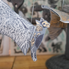 garland - recycled cotton paper - bats by east end press