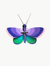 3D Insect Puzzle | Small Butterfly