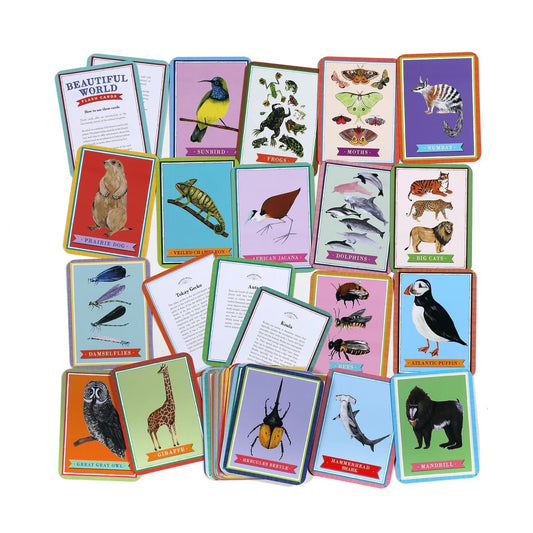 flash cards - beautiful world by eeboo