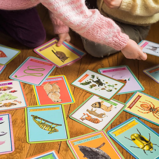 flash cards - beautiful world by eeboo