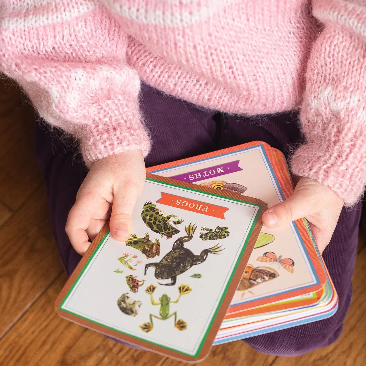 flash cards - beautiful world by eeboo