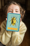 flash cards - beautiful world by eeboo