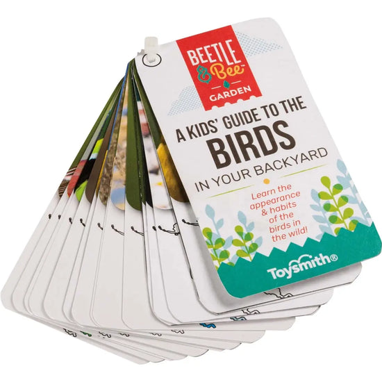 kit - little birder - beetle & bee garden by toysmith group