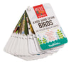 kit - little birder - beetle & bee garden by toysmith group