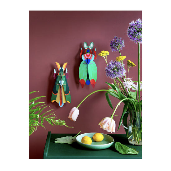 3d insect puzzle - large beetle by studio roof