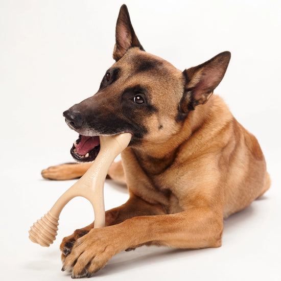 dog toy - betterbone hard durable - beef flavor by betterbone natural dog chews