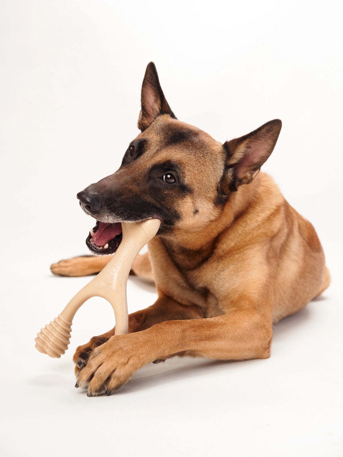 dog toy - betterbone hard durable - beef flavor by betterbone natural dog chews