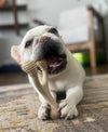 dog toy - betterbone hard durable - beef flavor by betterbone natural dog chews