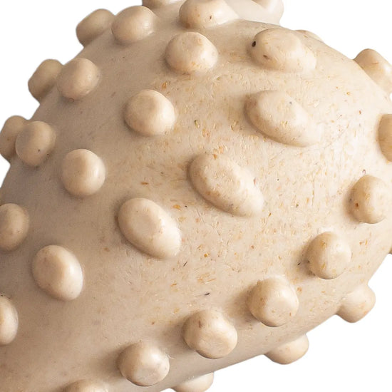 dog toy - betterbone soft durable - beef flavor by betterbone natural dog chews