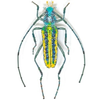 Brooch Pin | Large Beetle