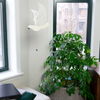 Mobile | Flying | Peace Dove