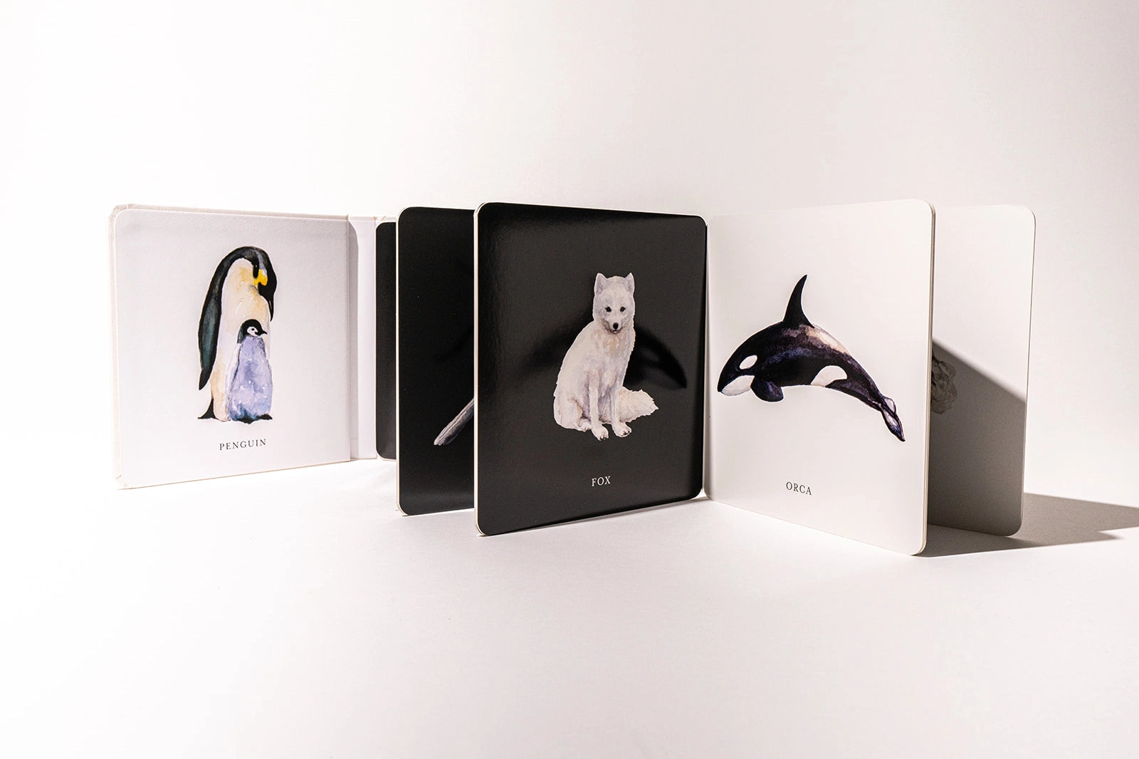 book - baby's black & white contrast by paige tate & co.