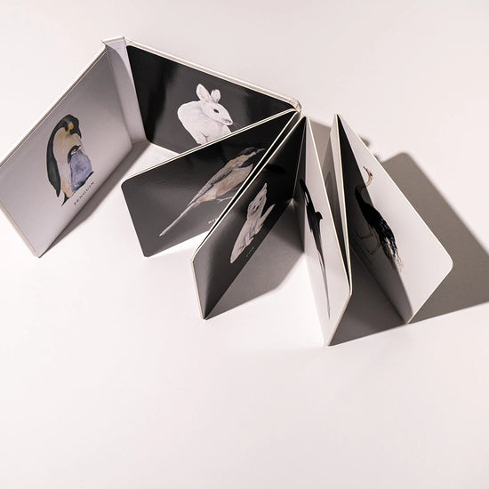 book - baby's black & white contrast by paige tate & co.