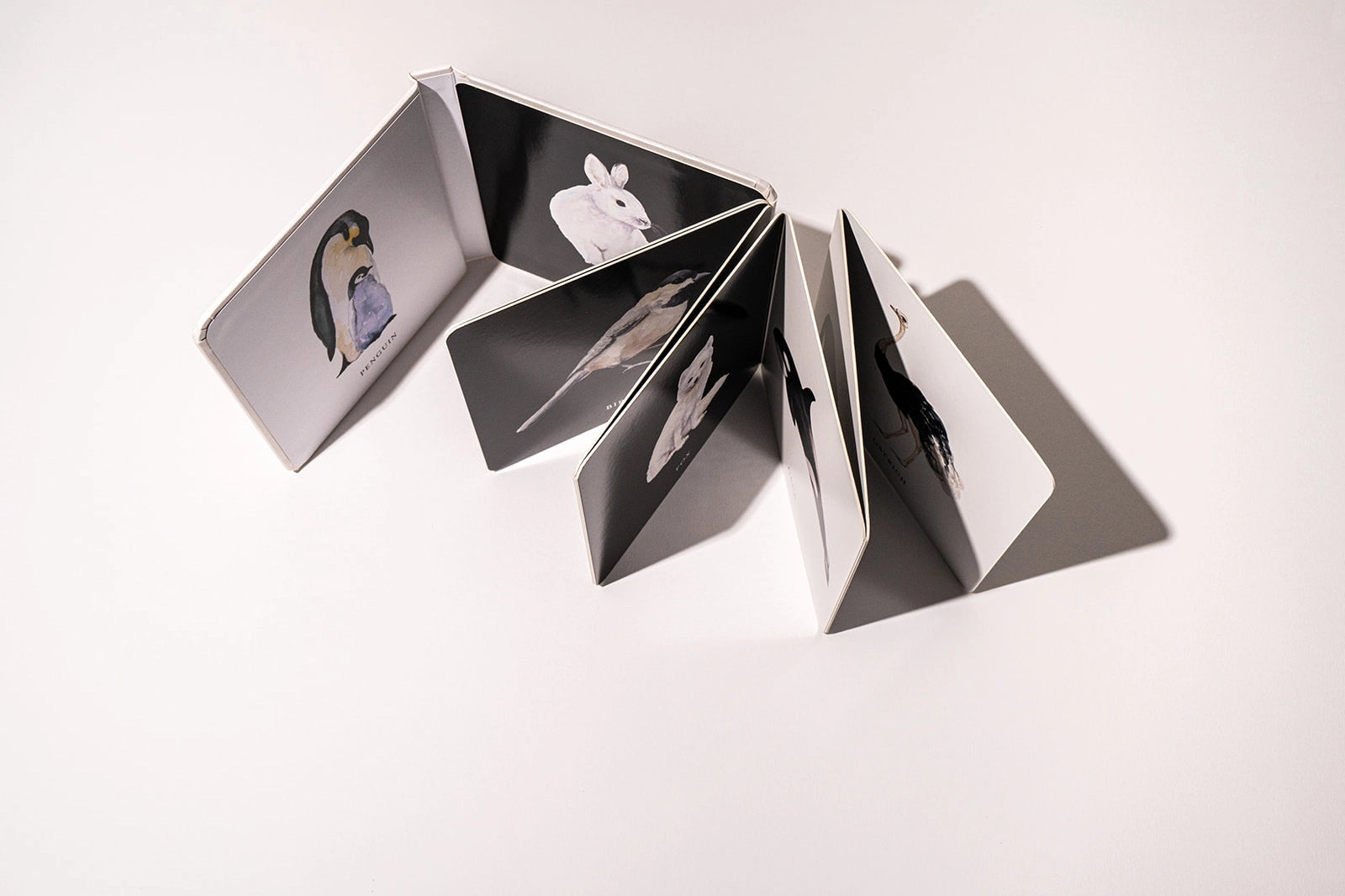 book - baby's black & white contrast by paige tate & co.